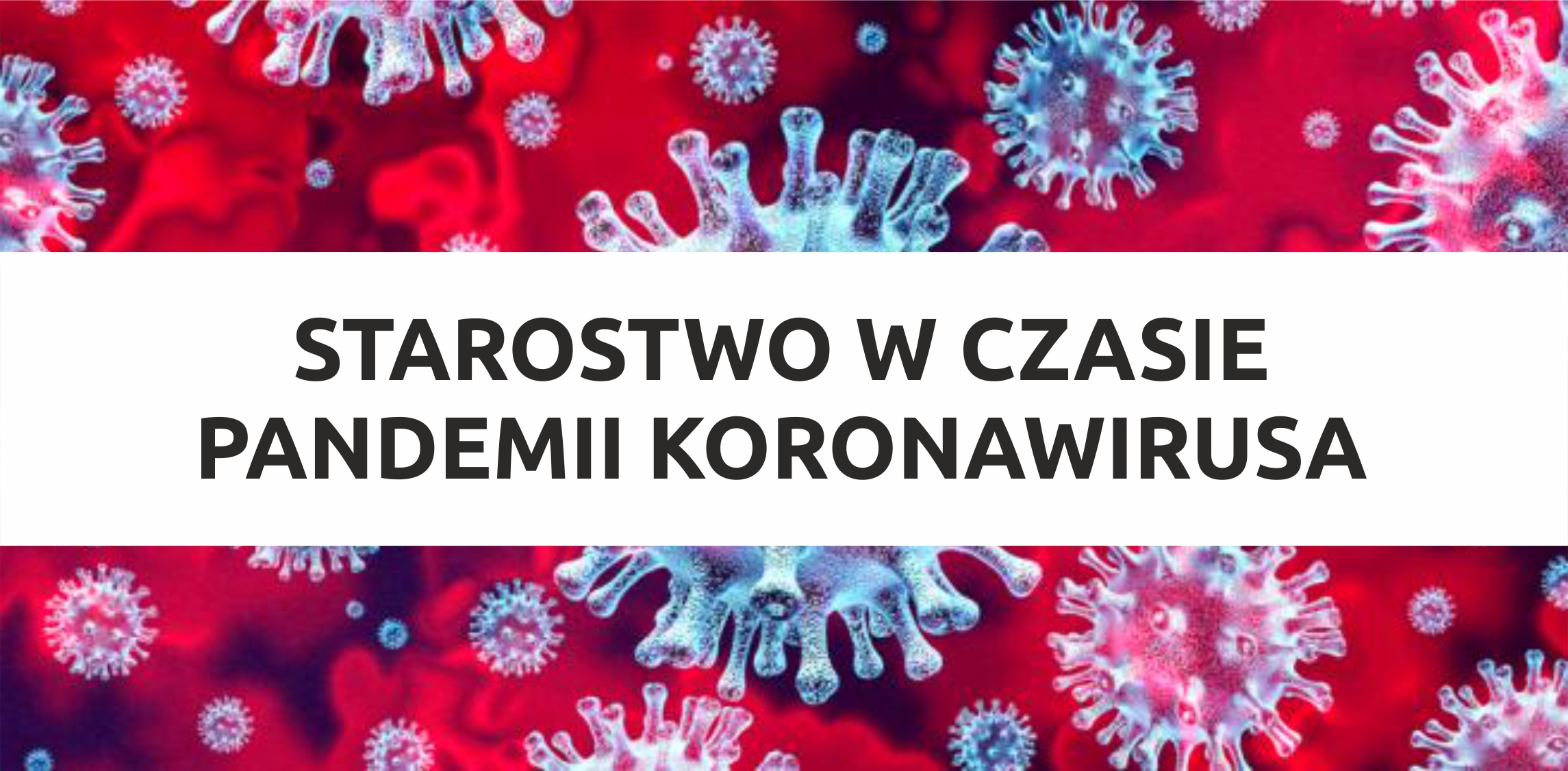 Starostwo w czasie epidemii koronawirusa: informacje