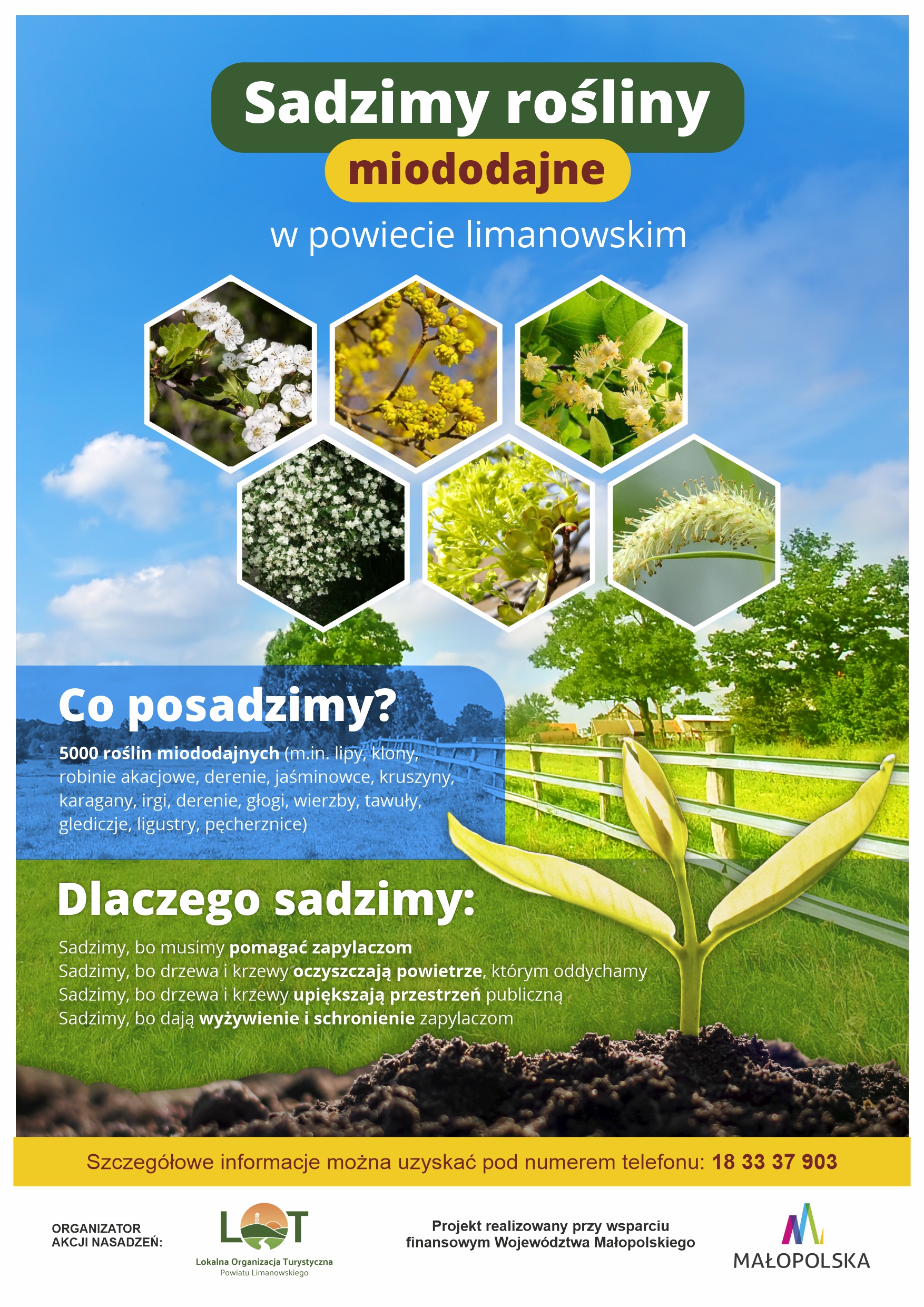 plakat informujący o wydarzeniu- sadzimy rośliny miododajne w powiecie limanowskim