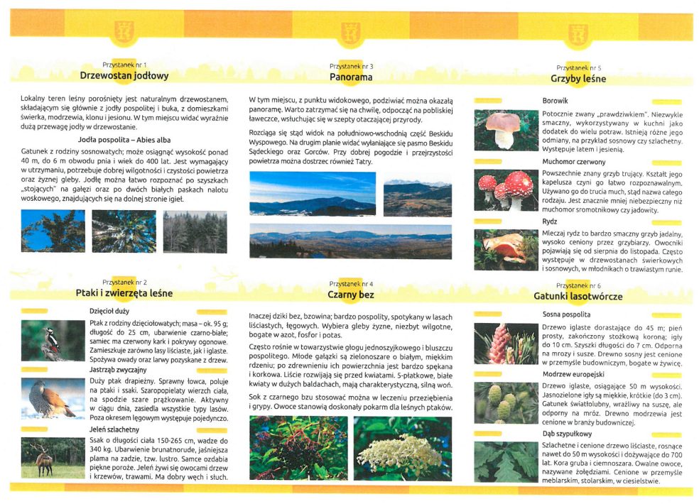 Ulotka Ścieżki dydaktyczno Przyrodniczej na górze Paproć