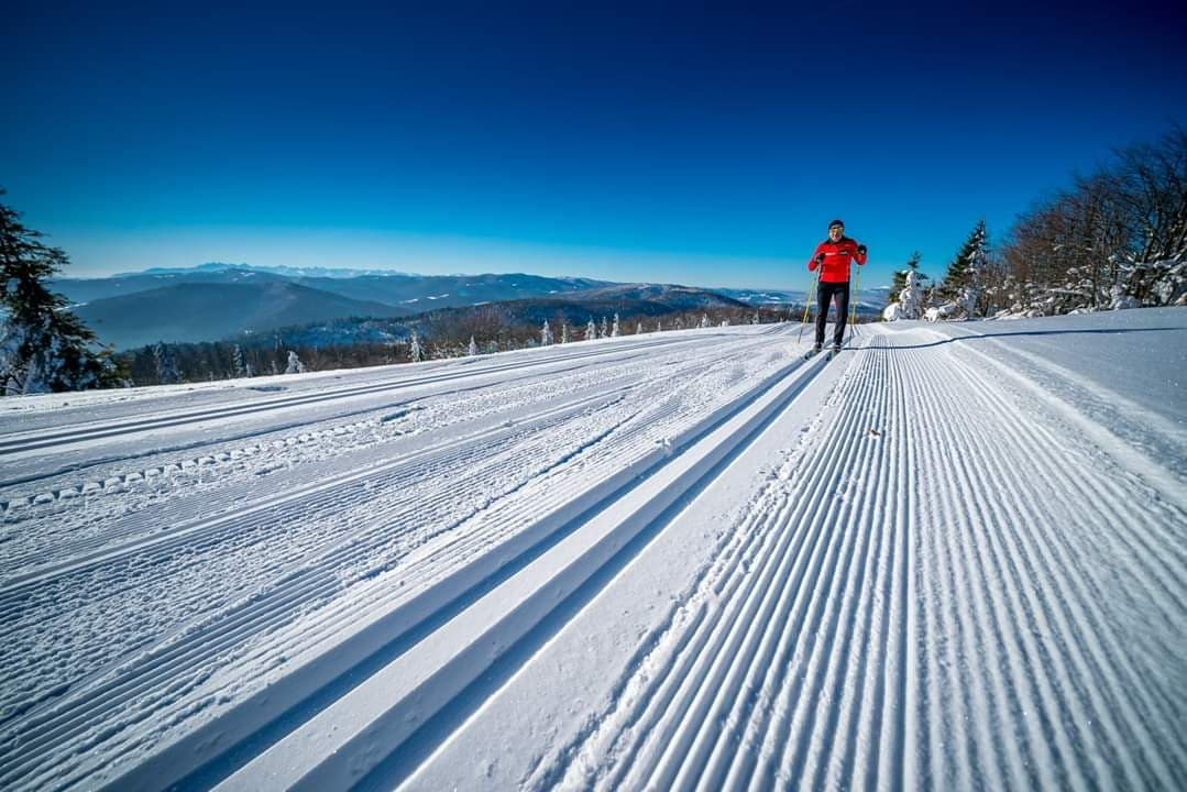 Zdjęcie przedstawiające mężczyznę na nartach biegowych na Trasach Wokół Góry Mogielica w zimowej scenerii Beskidu Wyspowego