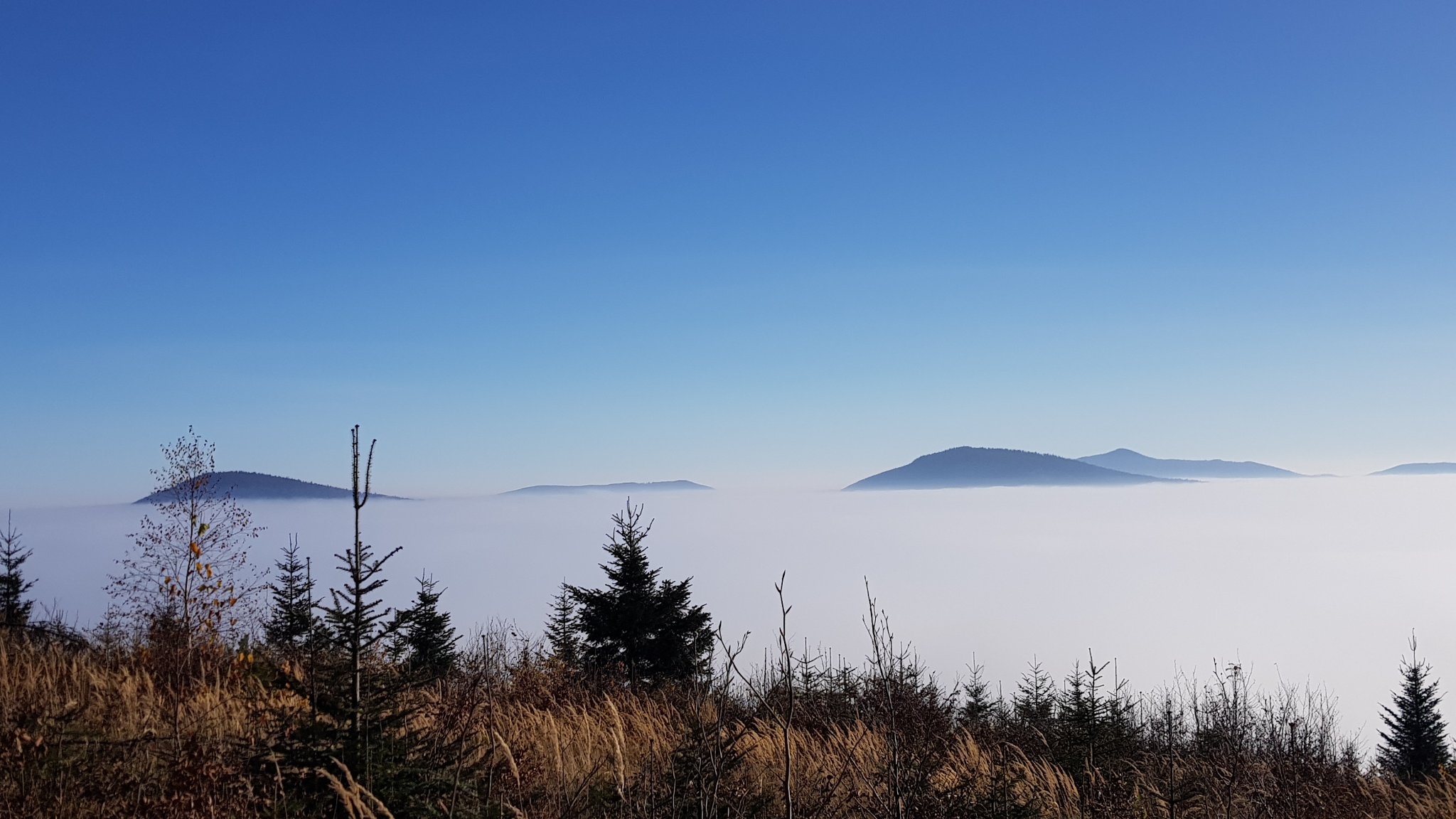 Beskid Wyspowy Widok z polany na szczyt górski zasnuty mglą