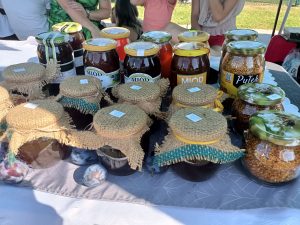 miód i produkty pszczele